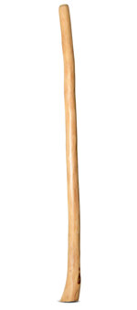 Natural Finish Didgeridoo (TW1093)